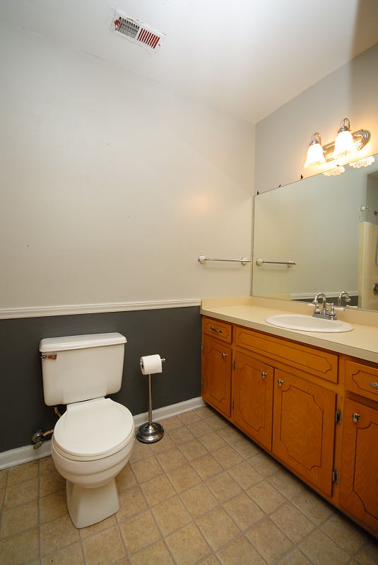 Goldsboro NC - Homes for Rent - 105 Lakehurst Drive Dudley NC 28333 - Hall Bathroom