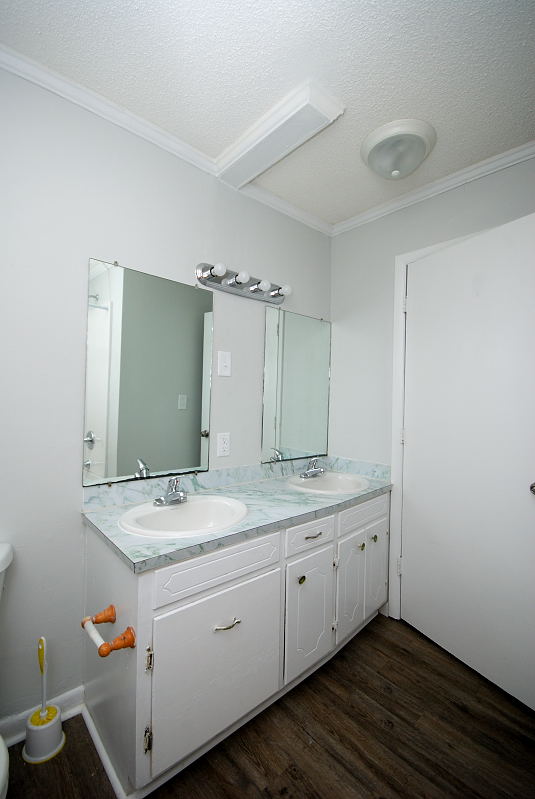 Goldsboro NC - Homes for Rent - 177 Hereford Drive Dudley NC 28333 - Bathroom