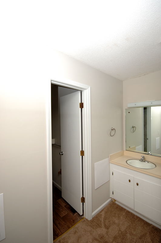 Goldsboro NC - Homes for Rent - 205 Crestwood Dr. Goldsboro NC 27530 - Primary Bathroom