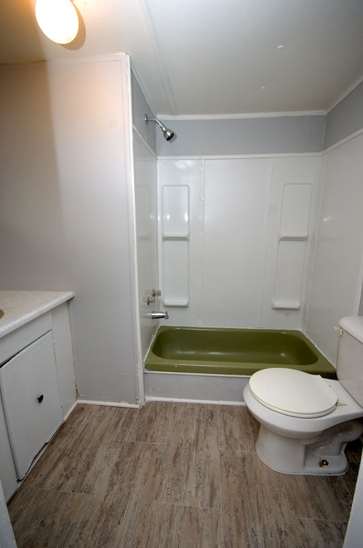 Goldsboro NC - Homes for Rent - 221 Biltmore Dr. Goldsboro NC 27534 - Bathroom