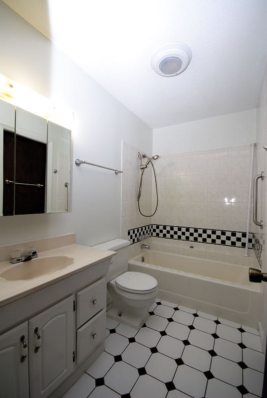 Goldsboro NC - Homes for Rent - 309 Mimosa Park Drive Goldsboro NC 27534 - Master Bathroom