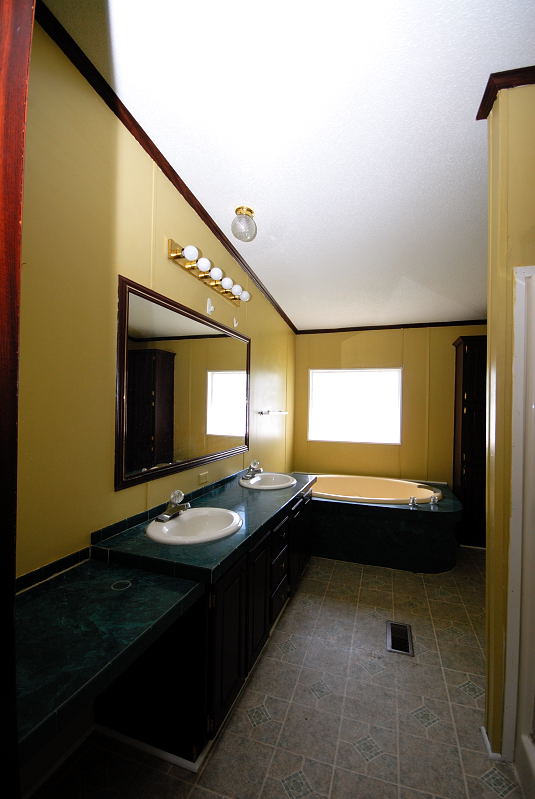 Goldsboro NC - Homes for Rent - 740 Ebenezer Church Road Goldsboro NC 27530 - Master Bathroom