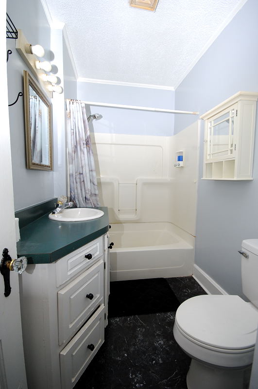 Goldsboro NC - Homes for Rent - 748 Rosewood Rd. Goldsboro NC 27530 - Bathroom