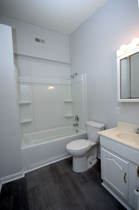 Goldsboro NC - Homes for Rent - 803 Marygold St Goldsboro NC 27530 - Master Bathroom