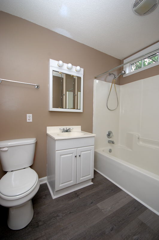 Goldsboro NC - Homes for Rent - 803 Marygold St Goldsboro NC 27530 - Bathroom