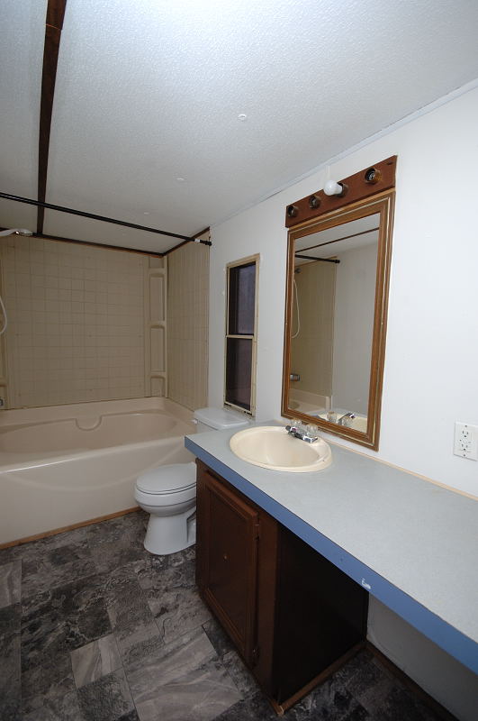 Goldsboro NC - Homes for Rent - 343 Mobile Cir. Dudley NC 28333 - Primary Bathroom