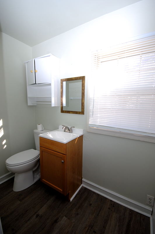 Goldsboro NC - Homes for Rent - 774 Old Grantham Rd. Goldsboro NC 27530 - Bathroom